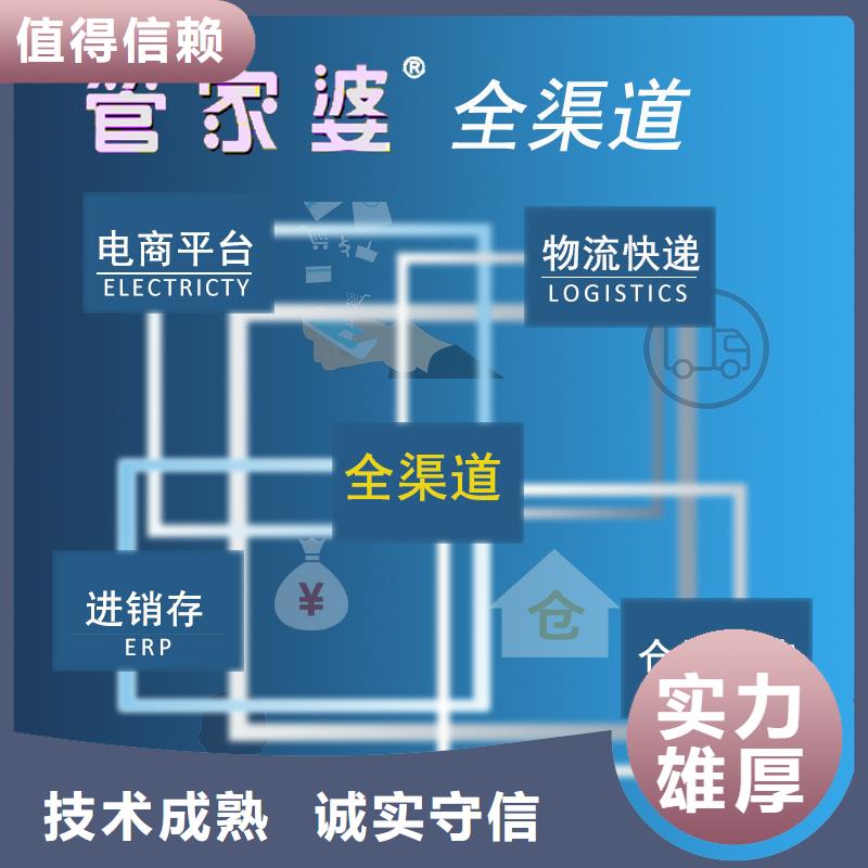 管家婆小公司财务软件傻瓜式操作团队