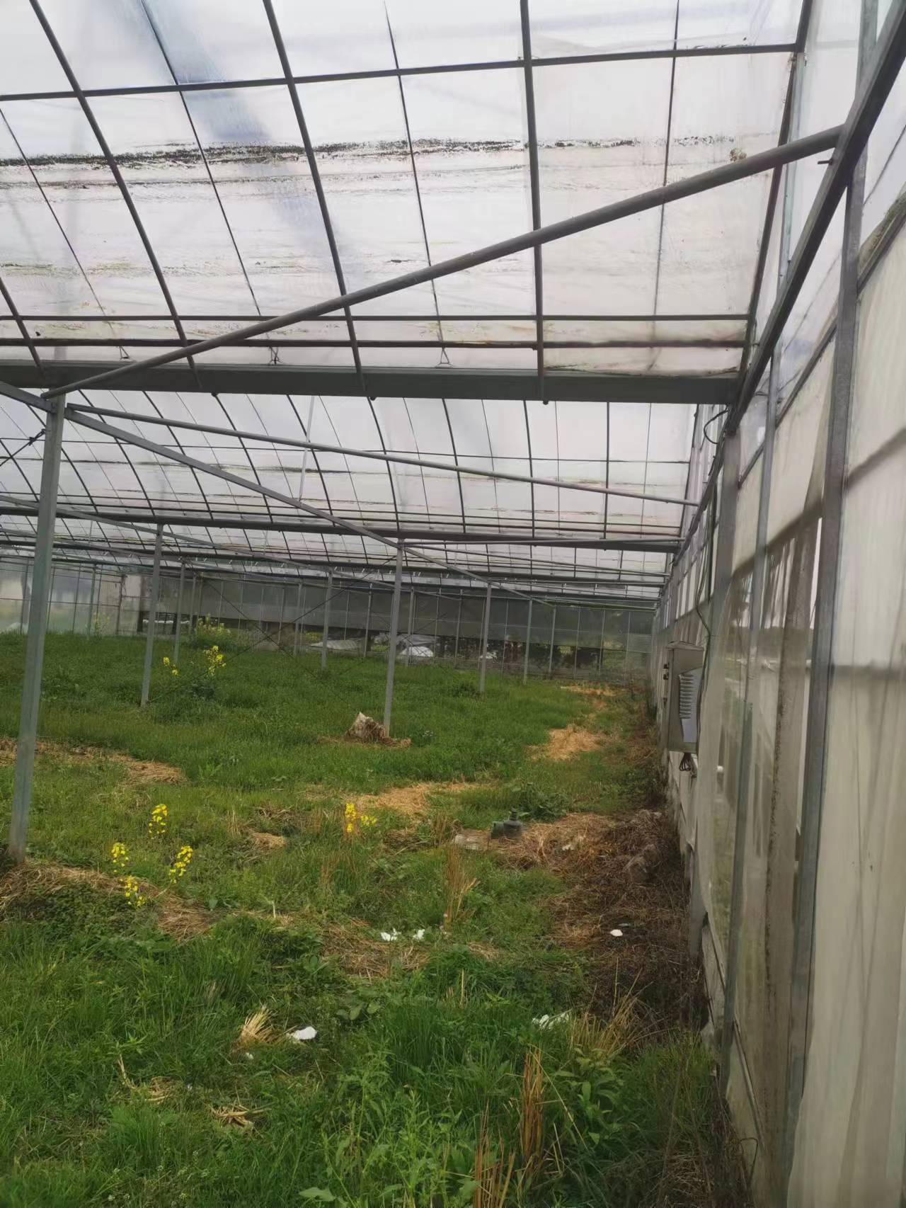 陽明區葡萄大棚專用膜現貨齊全2025鄉村振興計劃當地生產商
