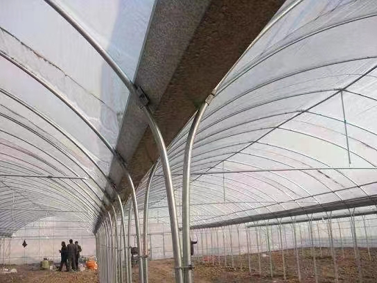 呈貢區蔬菜大棚6米8米【修飾詞本地供應商