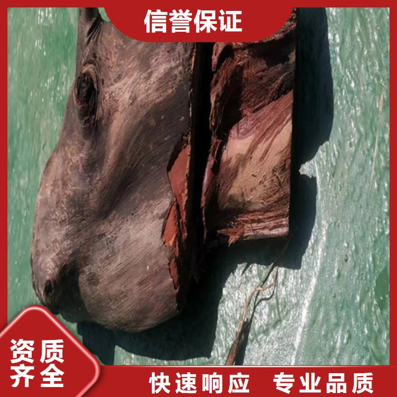 貴港解鋼絲繩歡迎咨詢