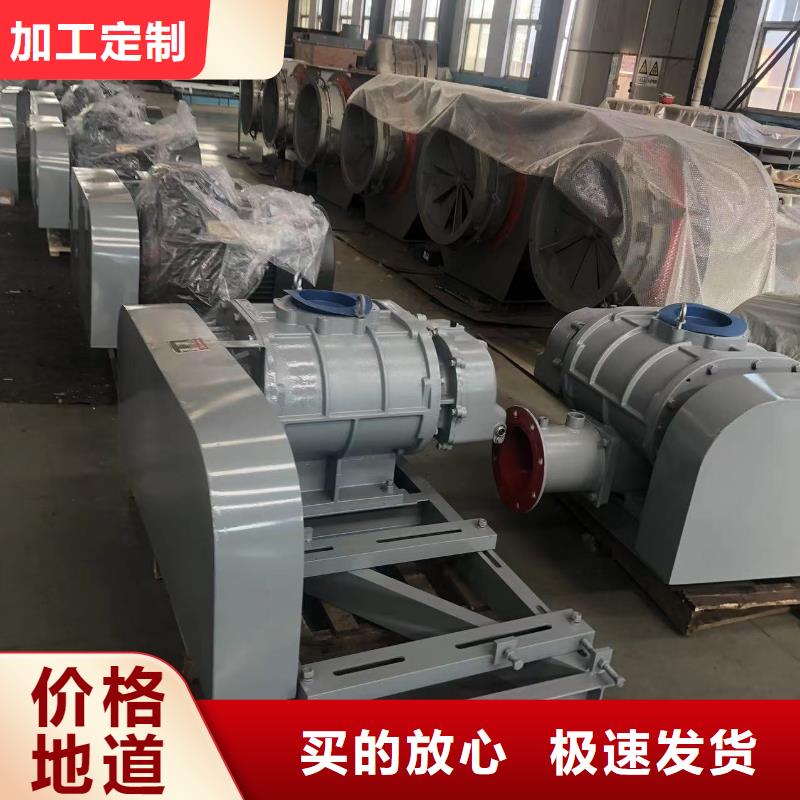 山東臨風科技股份有限公司洗煤專用羅茨風機LFSR80本地品牌