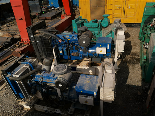 柴油發(fā)電機-【3000kw發(fā)電機租賃】商家精挑細選好貨