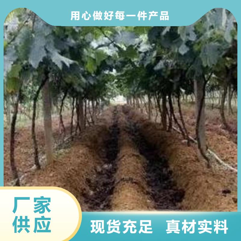 淮北亳州蚌埠发酵鸡粪改良土壤一站式服务