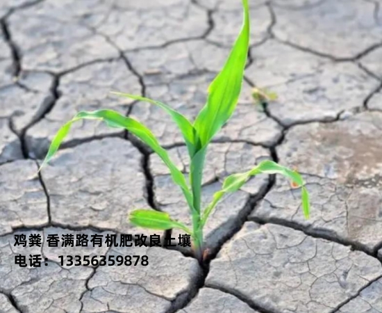 雞糞有機肥費用