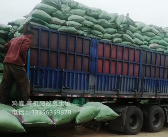 干雞糞增加土壤透氣性價格實惠工廠直供