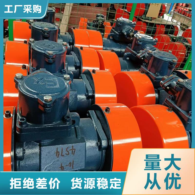 防爆振動電機_旋振篩準時交付本地服務商
