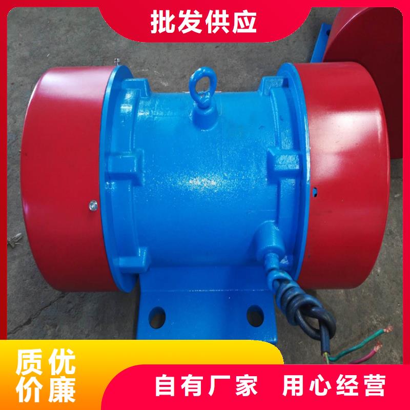 YZD-15-6振動電機(jī)1.1KW多重優(yōu)惠實(shí)力派廠家
