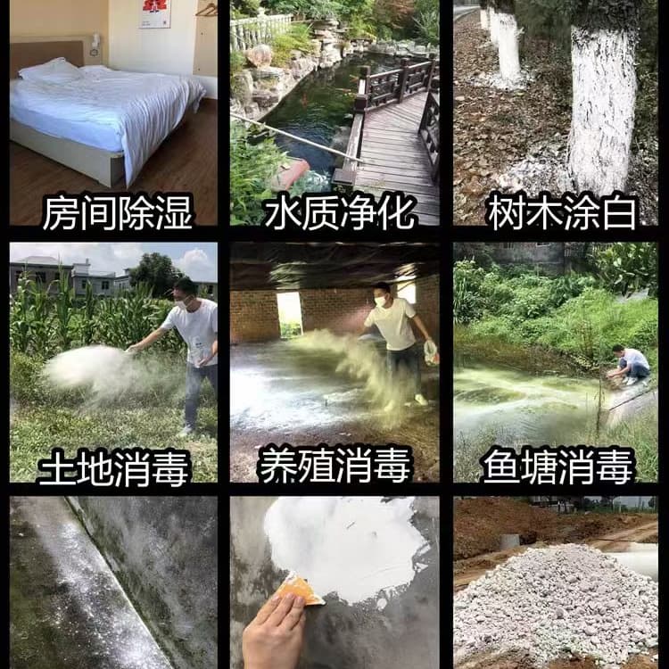 石灰-生石灰精挑細(xì)選好貨