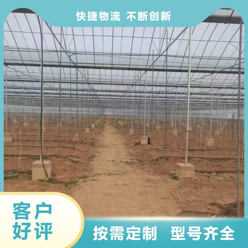 電動卷膜器焊接生產(chǎn)同城經(jīng)銷商