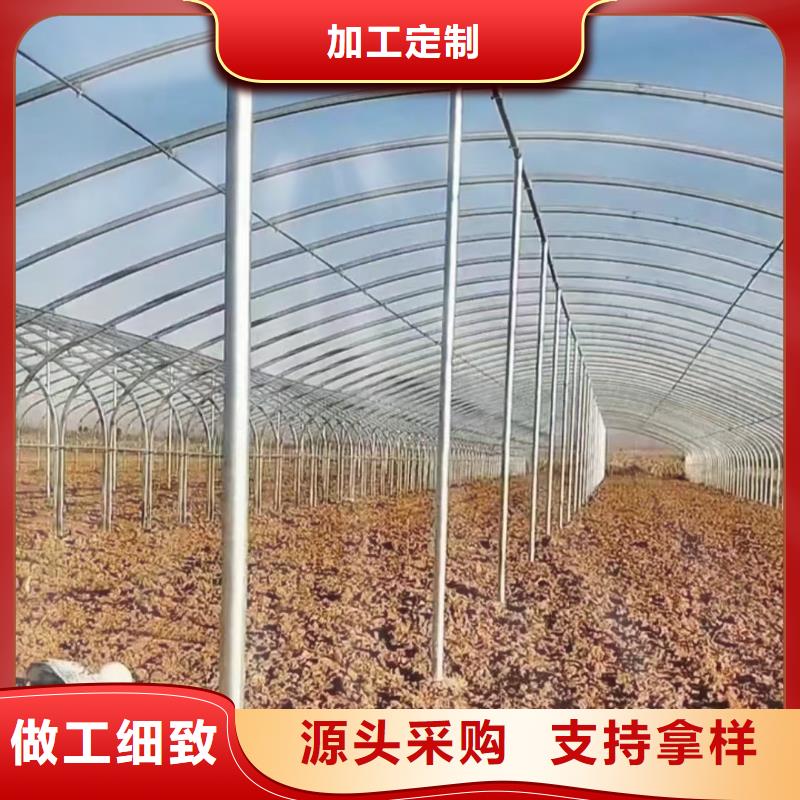 葡萄避雨棚打彎報價精心