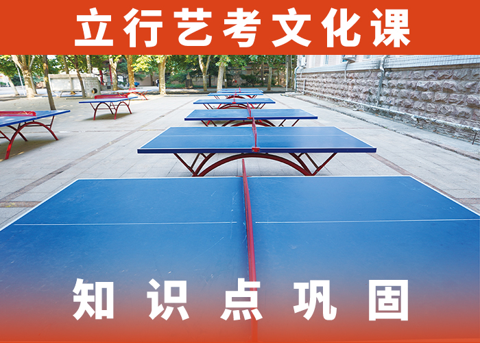 艺考生文化课舞蹈艺考培训实操教学同城生产厂家