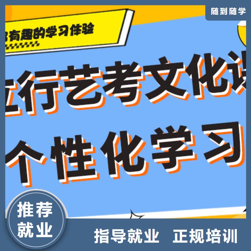 藝考生文化課,藝術生文化補習師資力量強理論+實操