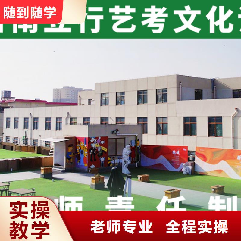 艺术生文化课【【舞蹈艺考培训】】理论+实操指导就业