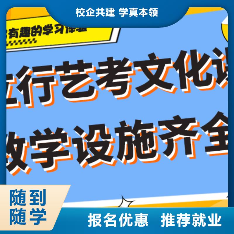 艺术生文化课高考小班教学学真本领本地制造商