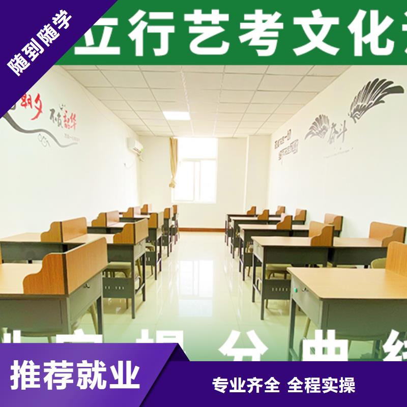 藝考文化課培訓高考語文輔導學真技術本地品牌