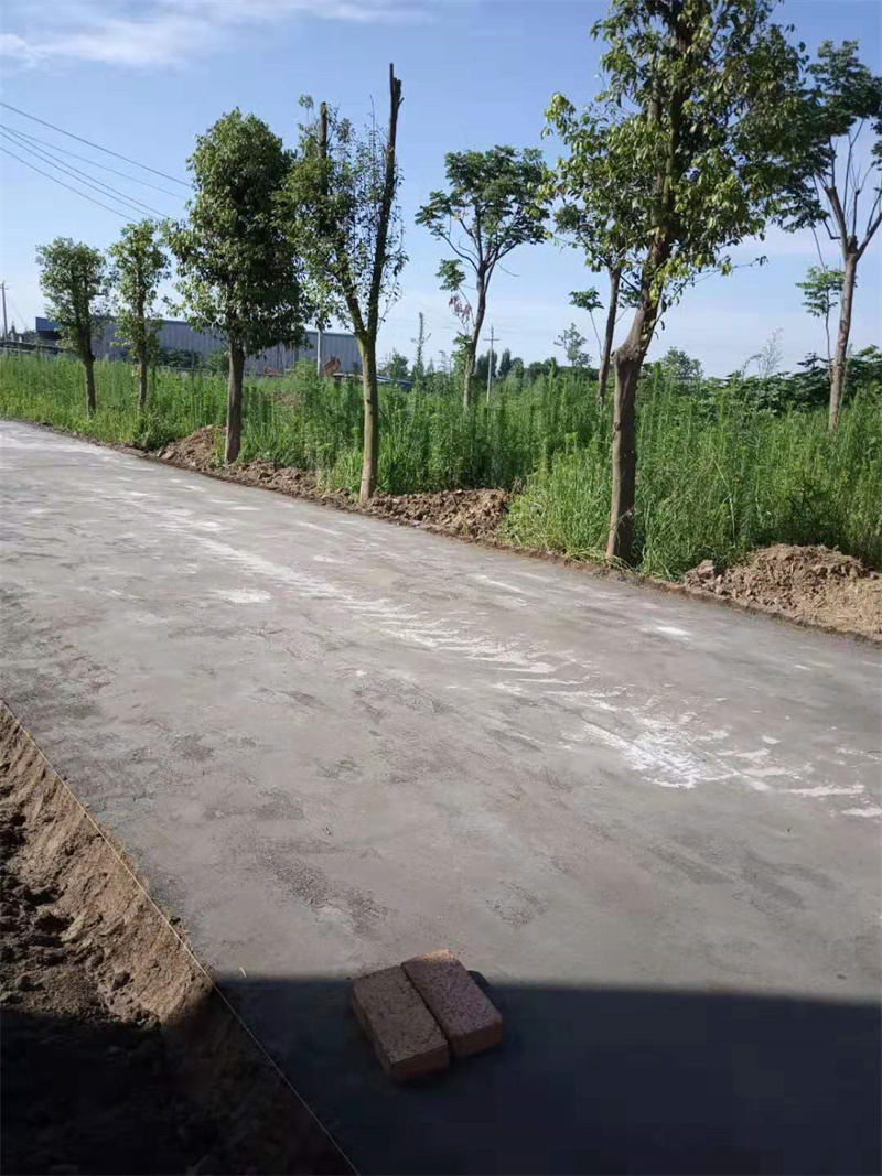 專業銷售原生泰土壤固化劑-現貨供應