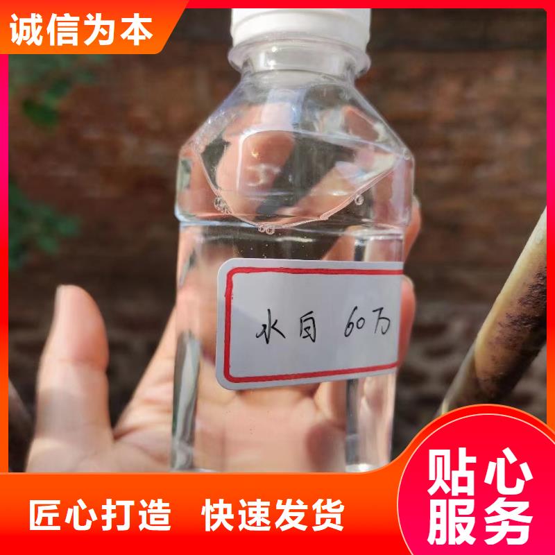  碳源来图定制