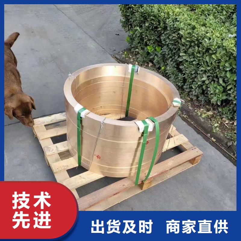 QBe0.6-0.1鈹銅套產品實拍圖同城經銷商