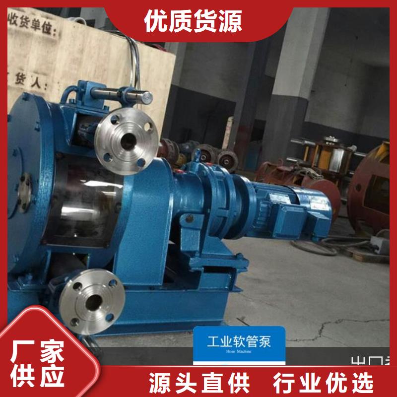 大流量工業軟管泵陽極泥輸送專注品質