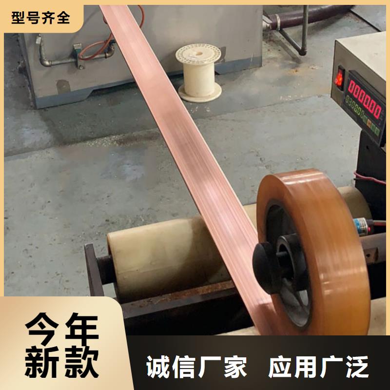 永平鍍錫紫銅排【鑫創(chuàng)榮業(yè)】超大電池同城品牌