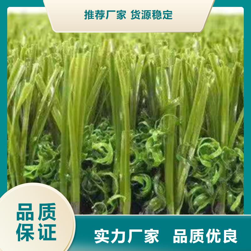 自治區(qū)塑膠跑道人工草坪本地生產(chǎn)商