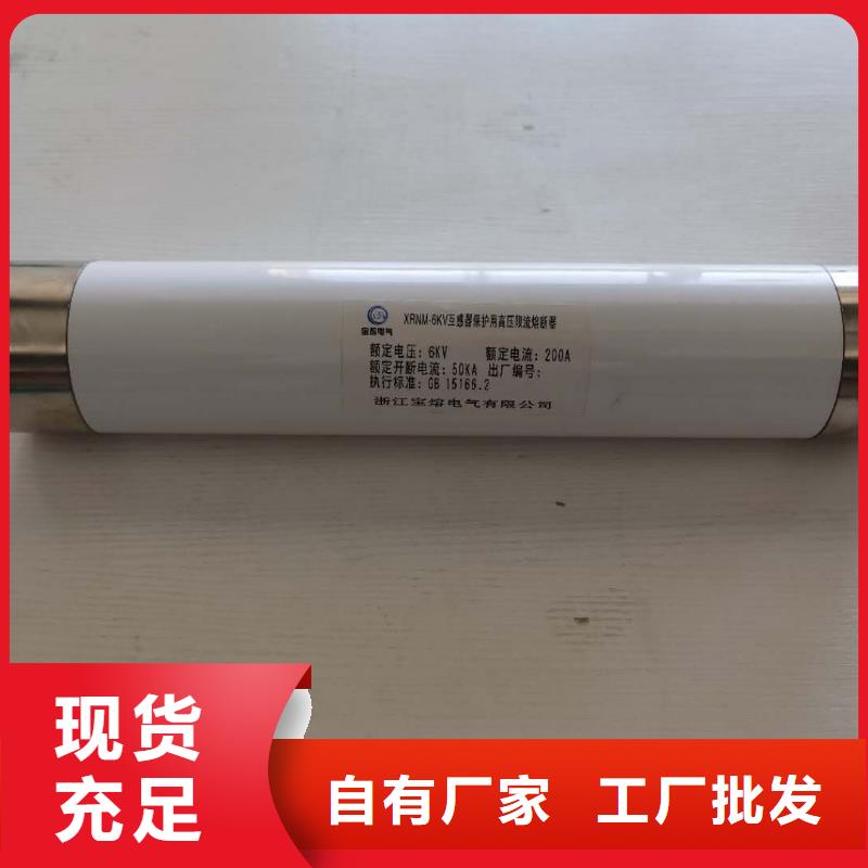 变压器保护用高压限流熔断器XRNT1-3.6KV/400A厂家直销货品齐全