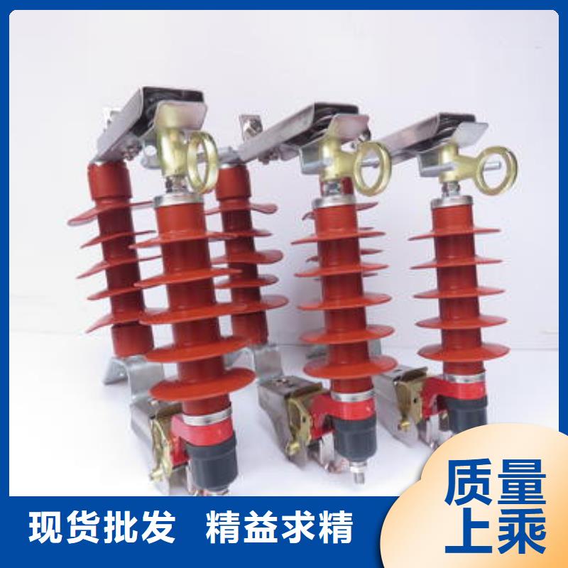 陶瓷配電型氧化鋅避雷器Y5WS-5/15發(fā)貨及時(shí)