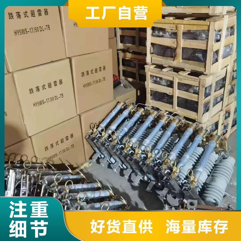 供应高压跌落式熔断器RW12-27/100A陶瓷熔断器<当地>生产厂家