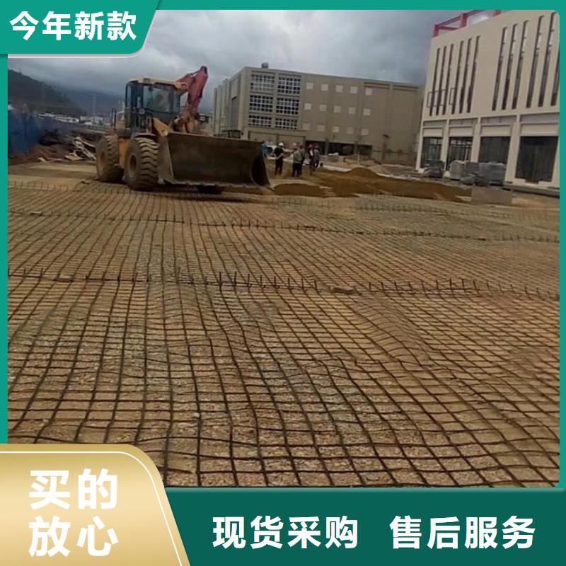焊接土工格柵-鋼塑土工格柵滌綸土工格柵鋼塑土工格柵_(tái)土工格柵系列本地經(jīng)銷商