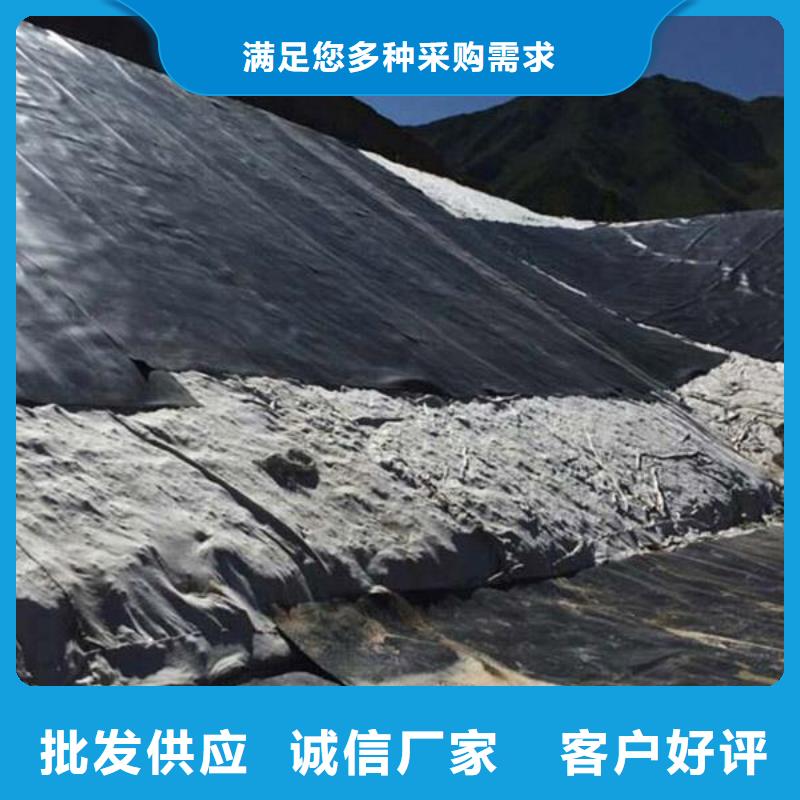 土工布-土工膜-土工膜价格土工膜厂家当地供应商