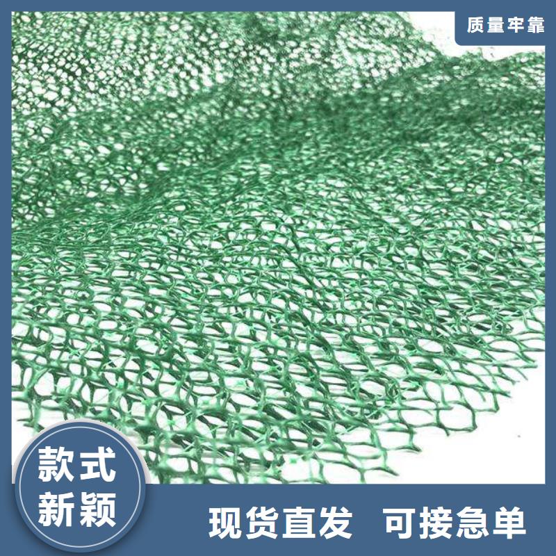 三維網,三位植被網,三維土工網同城生產商