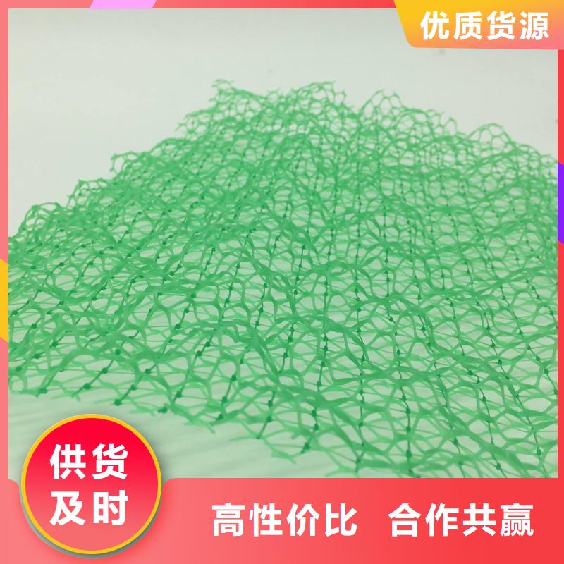 三維植被網(wǎng)|三維網(wǎng)墊植草護(hù)坡|三維土工網(wǎng)墊廠家本地經(jīng)銷商