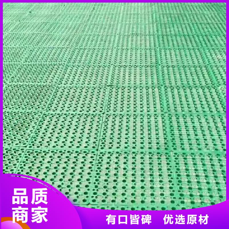 【三維植被網】三維植被網原理,三維植被網施工,特點,圖片品質服務