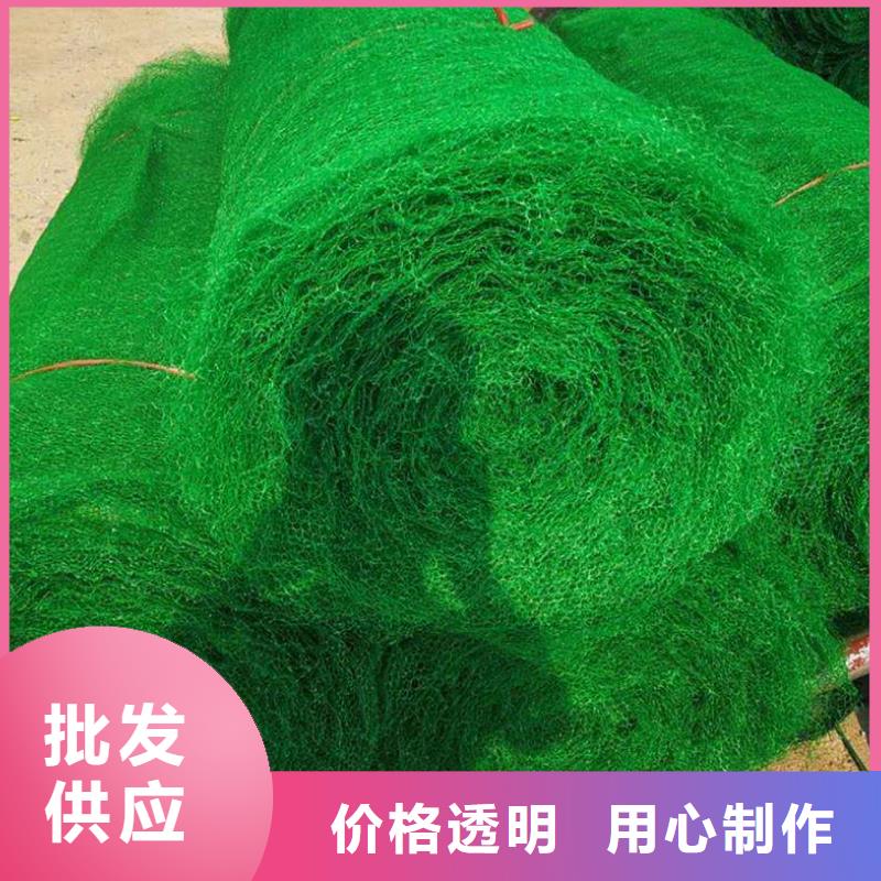 三维植被网-三维复合排水管批发供应