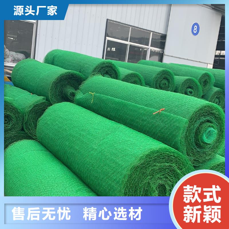 三维植被网标准贴心服务