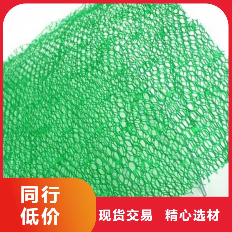 三維植被網生產廠家生產高質量三維植被網-三維土工網同城品牌