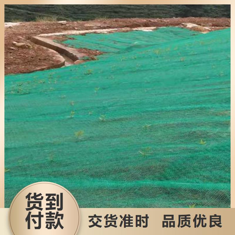 三維植被網(wǎng)|三維網(wǎng)墊植草護(hù)坡|三維土工網(wǎng)墊廠家就近發(fā)貨