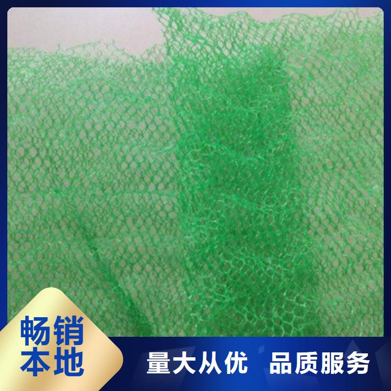 土工格柵-土工布-土工膜-三維植被網-廠家直銷多種規格供您選擇