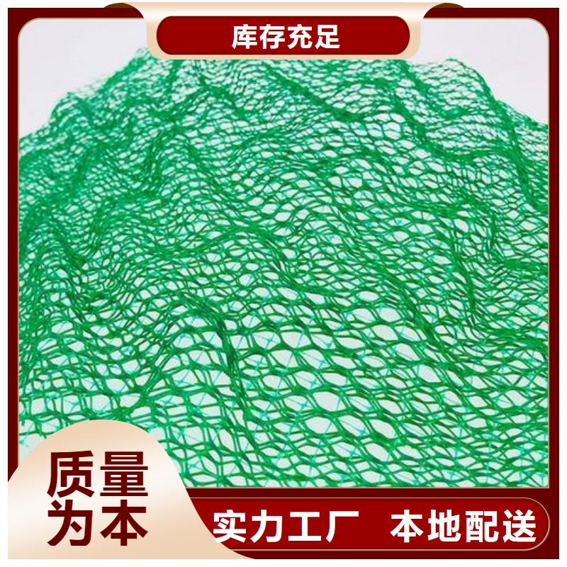 三維植被網(wǎng)優(yōu)點(diǎn)特性以及作用實(shí)力廠家直銷