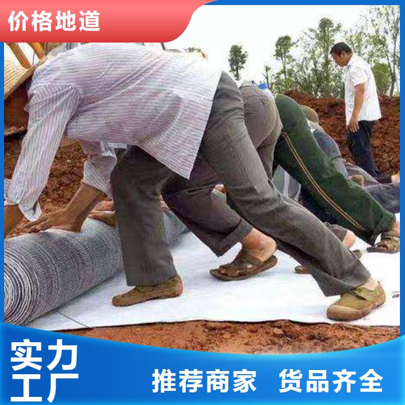 昌江縣復合土工膜_土工布_防滲膜_防草布_防水毯本地品牌