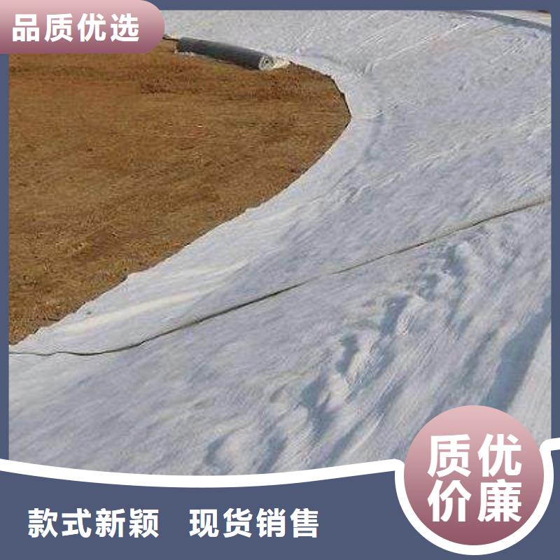 膨潤土防水毯-復合土工膜|魚塘防滲膜|三維排水網廠家經驗豐富