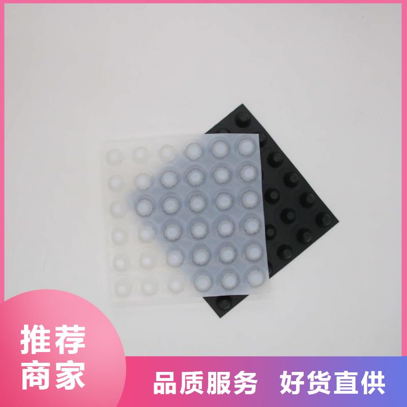 地下室排水板廠家_虹吸排水_多項市政工程施工經驗品質保障價格合理