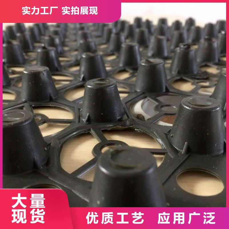 排水板__排（蓄）水板塑料植草格_濾水板廠家一件也發貨
