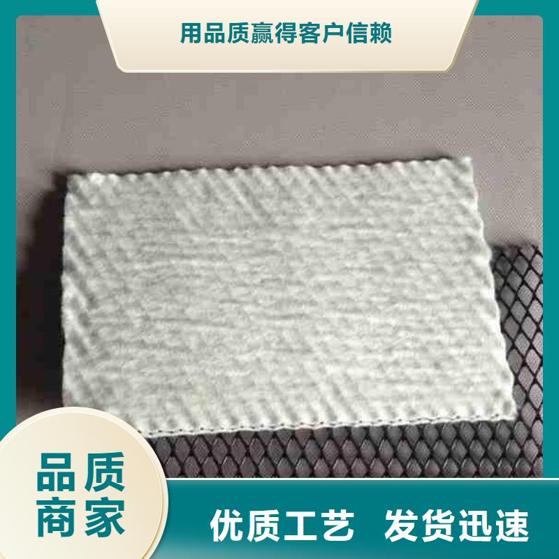 排水網(wǎng)_三維排水網(wǎng)_復合土工排水網(wǎng)價格_三維復合排水網(wǎng)同城廠家