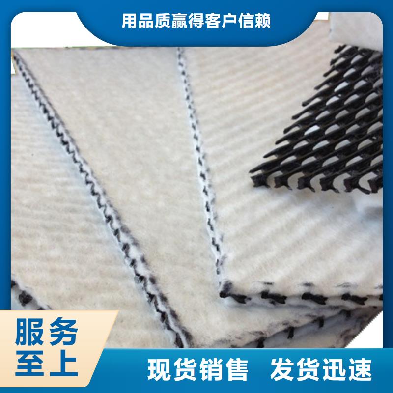 山东三维复合排水网产品规格】本地生产厂家