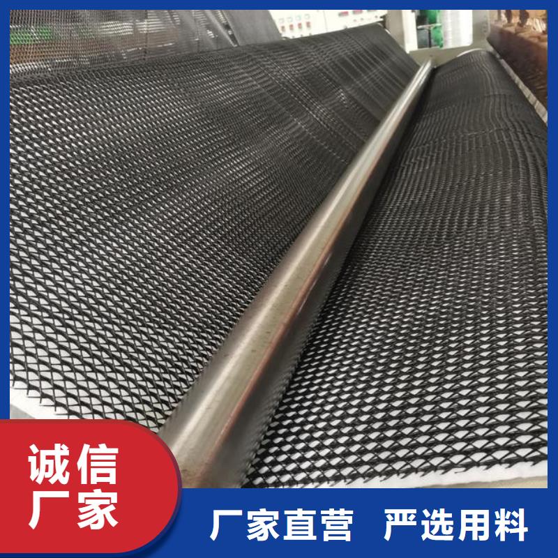 排水板_植草格_復(fù)合土工膜_三維復(fù)合排水網(wǎng)-生產(chǎn)廠家-山東億路通當(dāng)?shù)厣a(chǎn)商