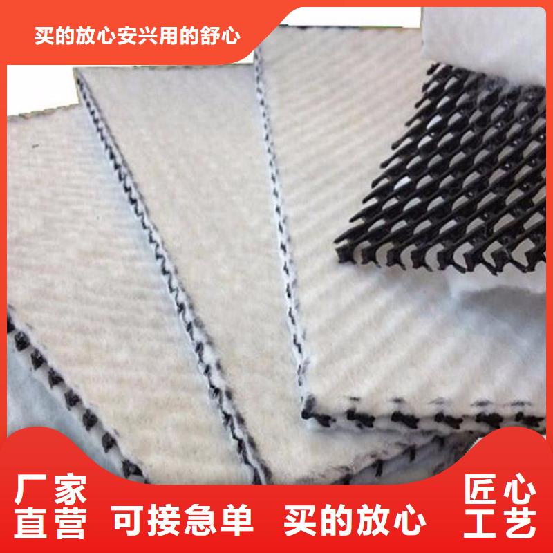三維復合排水網多少錢一平方_三維復合排水網廠家價格廠家直銷質檢嚴格