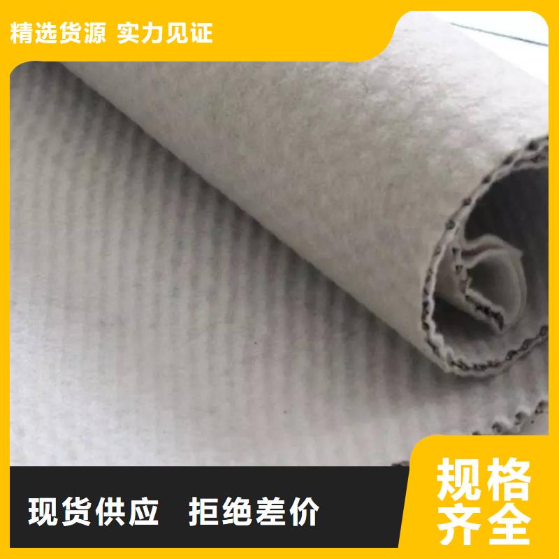 三維復合排水網_塑料排水板價格_蓄排水板廠家當地貨源