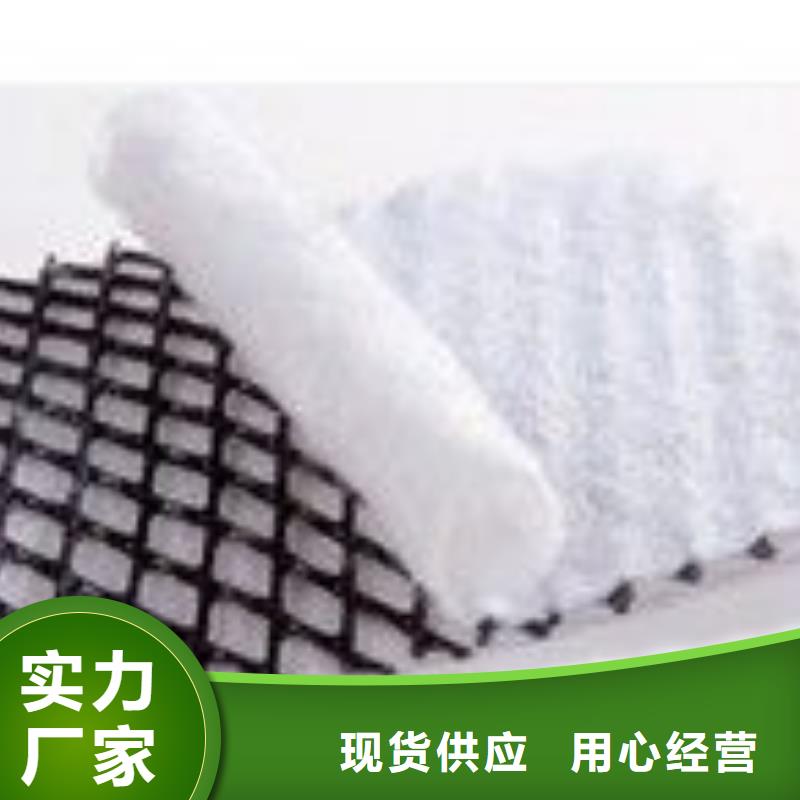 復合三維排水網技術指標三維復合排水網實體誠信廠家