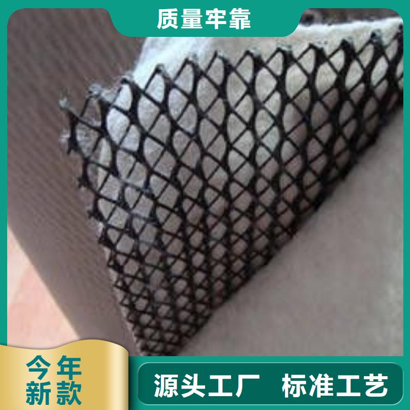 2025三維復合排水網現貨庫存】買的放心